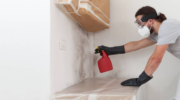 Professional Basement Mold Remediation technician working in Gettysburg, PA