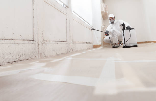 24/7 Emergency Basement Mold Remediation experts in Gettysburg, PA