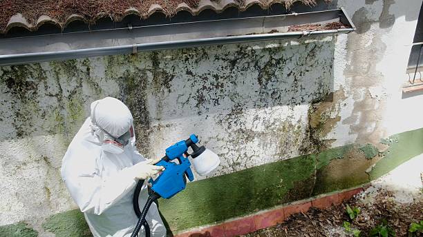 Top rated local Basement Mold Remediation specialists in Gettysburg, PA